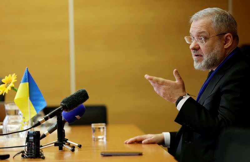 Ukrainian Energy Minister German Galushchenko attends a press conference at the U.N. nuclear watchdog IAEA in Vienna