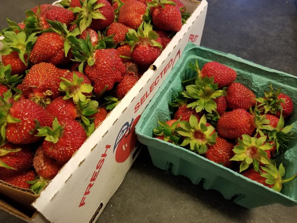 Fresh-picked strawberries at Spring Rain Farm, 692 Caswell St., East Taunton. The patch is being managed by Old Earth Orchards.