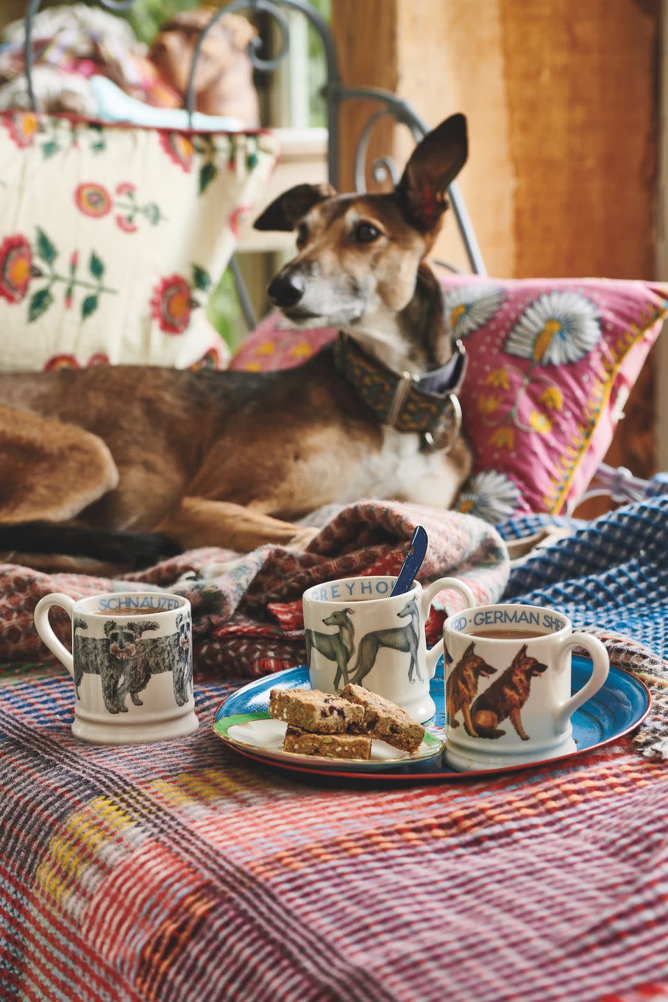 <p>Dog lovers, rejoice! Emma Bridgewater has expanded its dog mug collection, with new and wonderful designs including <a href="https://www.emmabridgewater.co.uk/products/greyhound-1-2-pint-mug" rel="nofollow noopener" target="_blank" data-ylk="slk:Greyhounds;elm:context_link;itc:0;sec:content-canvas" class="link ">Greyhounds</a>, <a href="https://www.emmabridgewater.co.uk/products/schnauzer-1-2-pint-mug" rel="nofollow noopener" target="_blank" data-ylk="slk:Schnauzers;elm:context_link;itc:0;sec:content-canvas" class="link ">Schnauzers</a> and <a href="https://www.emmabridgewater.co.uk/products/german-shepherd-1-2-pint-mug" rel="nofollow noopener" target="_blank" data-ylk="slk:German Shepherds;elm:context_link;itc:0;sec:content-canvas" class="link ">German Shepherds</a>. </p><p><a class="link " href="https://www.emmabridgewater.co.uk/search?q=dogs+" rel="nofollow noopener" target="_blank" data-ylk="slk:BUY NOW;elm:context_link;itc:0;sec:content-canvas">BUY NOW</a> </p>
