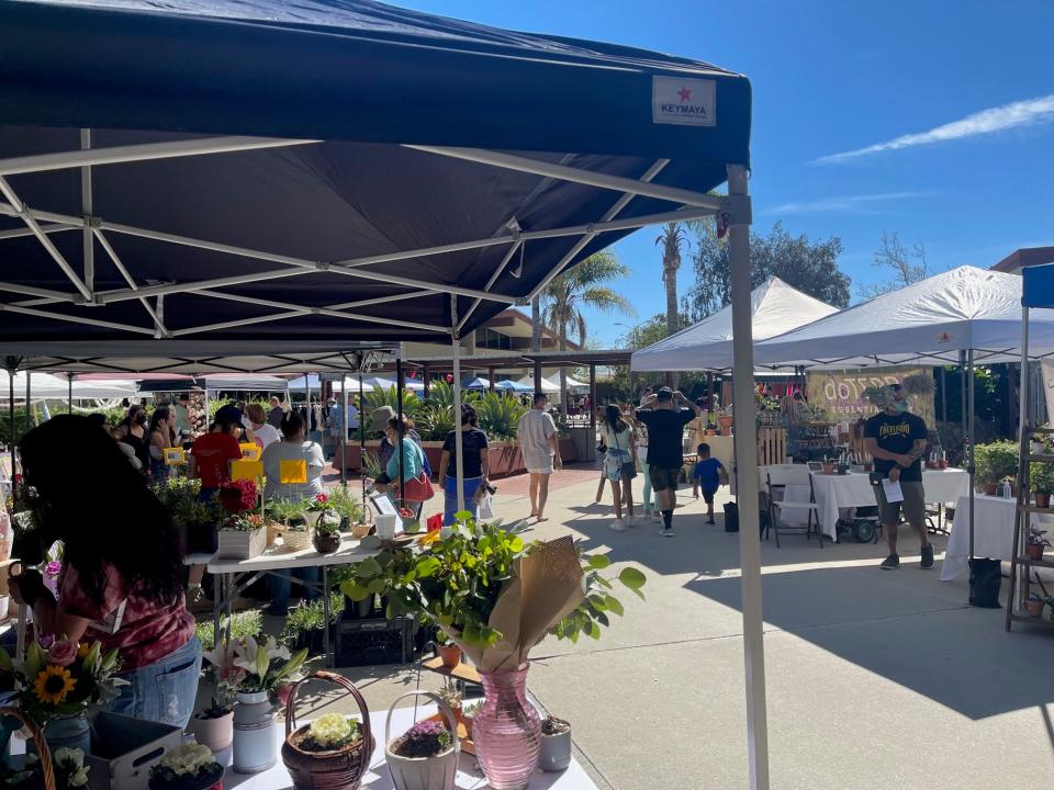 The Oxnard-based MiniNature Reserve has raised $55 from two donors with the crowdfunding program. The nonprofit took part in the Native Plant Fest in Oxnard earlier this year.
