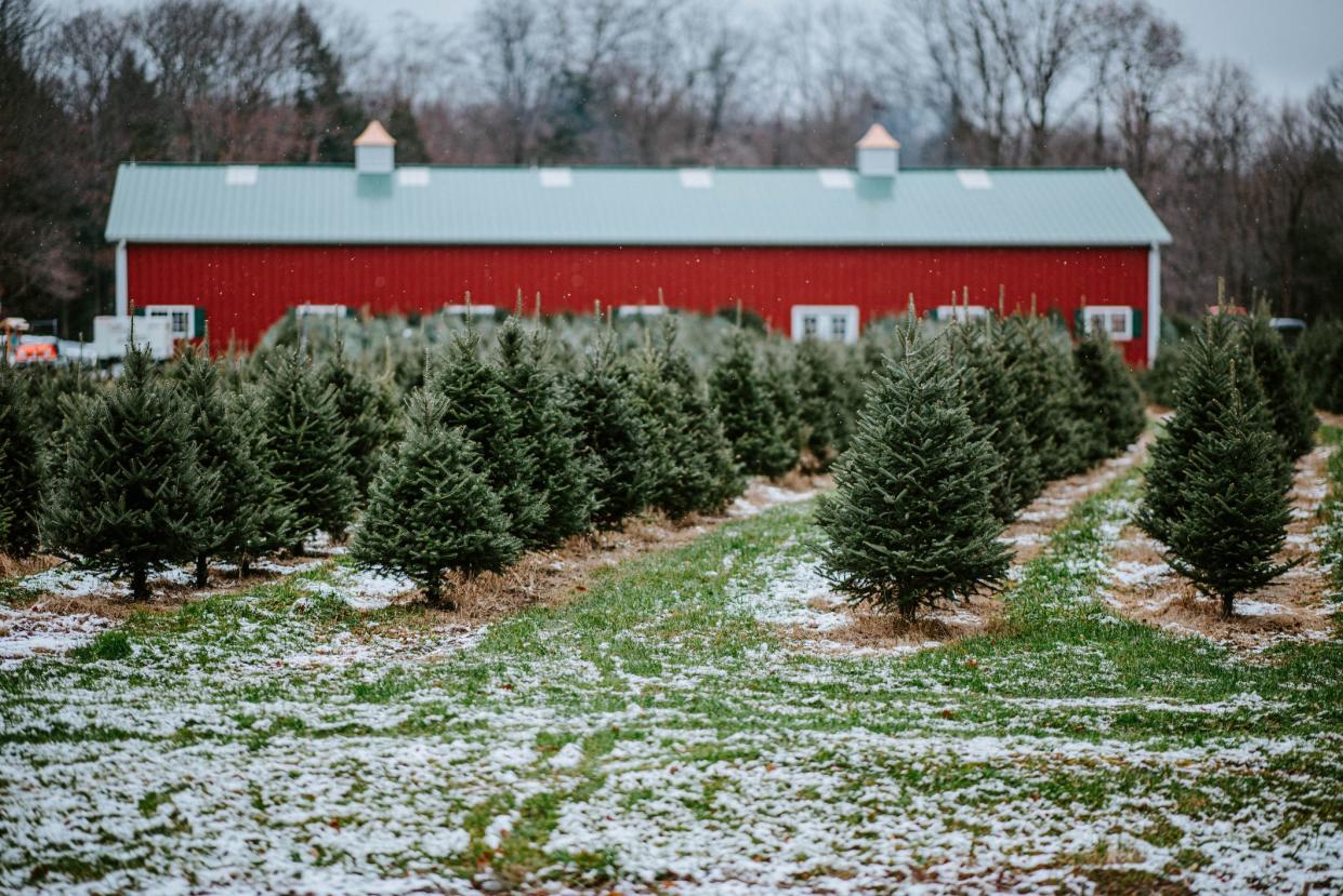 christmas photos in upstate ny