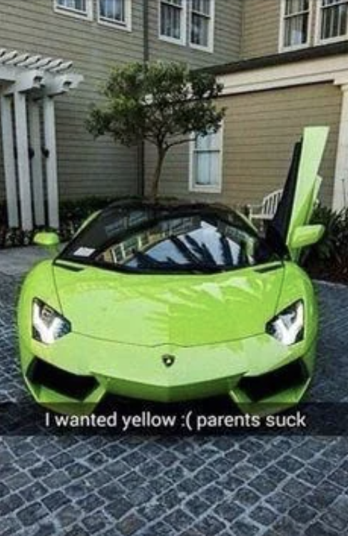 Bright green sports car with open door in driveway, captioned "I wanted yellow :( parents suck"