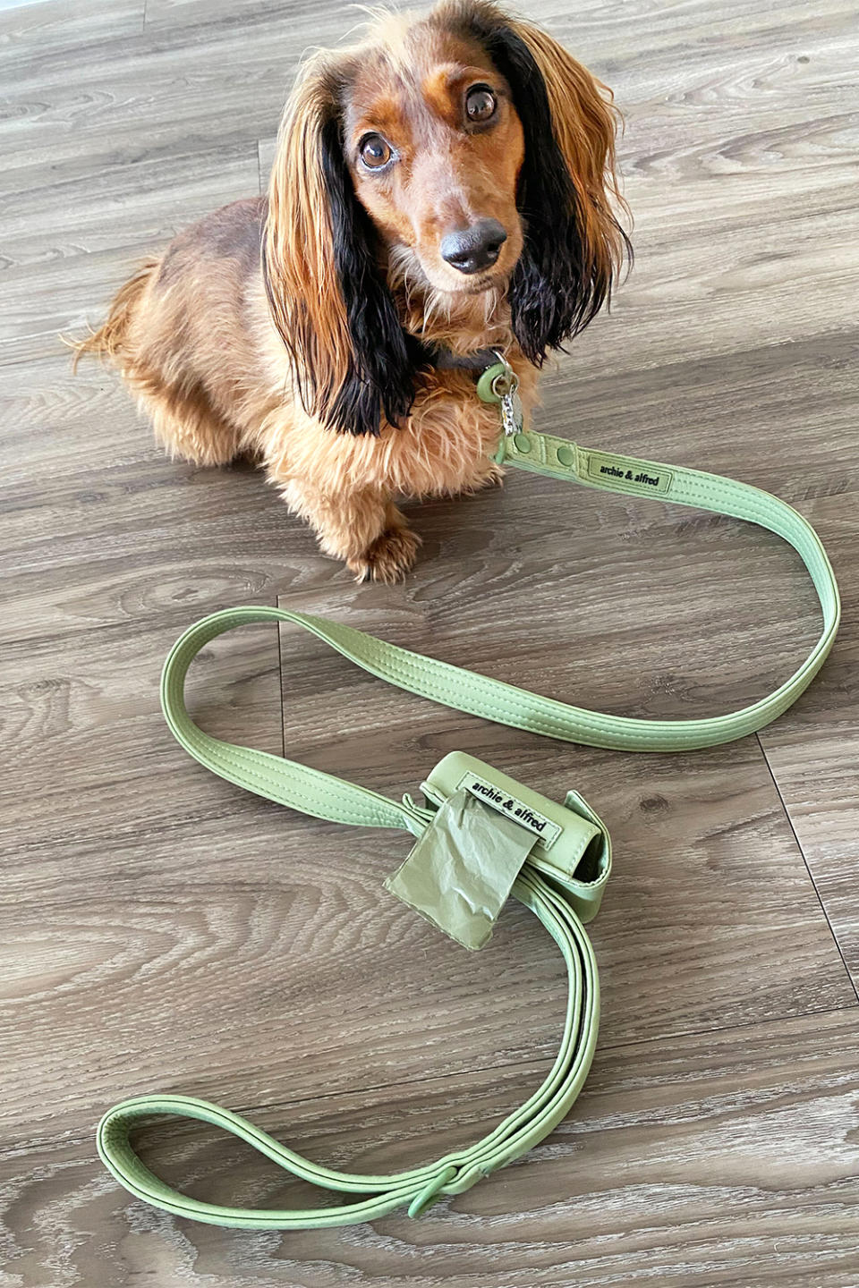 <p>This "comfy" dog leash, made of nylon wrapped in neoprene, comes in a "beautiful" green with a chic poop-nag holder.</p> <p><strong>Buy it!</strong> Archie & Alfred's Everyday Dog Leash, $36; <a href="https://archieandalfred.com/products/everyday-leash" rel="nofollow noopener" target="_blank" data-ylk="slk:Archieandalfred.com;elm:context_link;itc:0;sec:content-canvas" class="link ">Archieandalfred.com</a></p> <p><em>For more details on the best pet products of 2022, pick up the latest issue of PEOPLE, on newsstands Friday.</em></p>