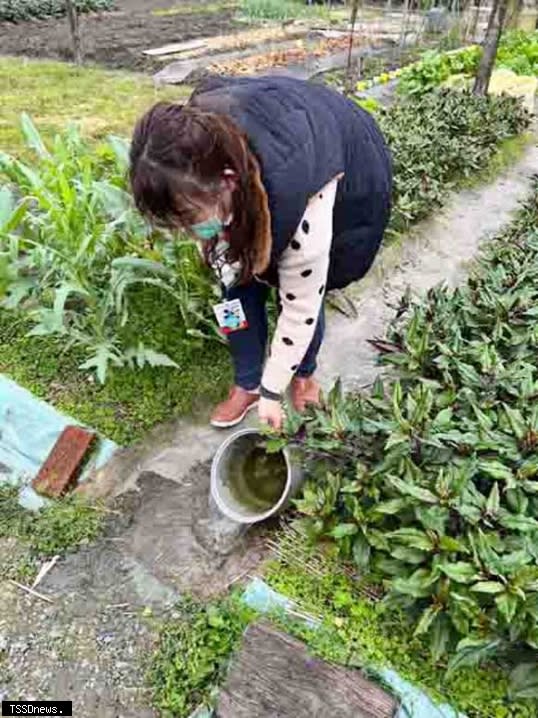 宜蘭縣出現今年首例本土登革熱個案，請民眾加強居家環境巡查，清除積水容器。（圖：宜蘭縣衛生局提供）