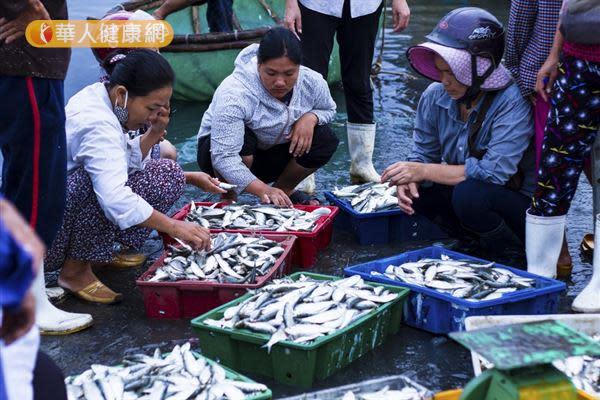 現撈海鮮若撈起後沒有立刻烹調來吃，再加上保存條件不佳，容易導致細菌孳生，吃了反而可能鬧肚子。