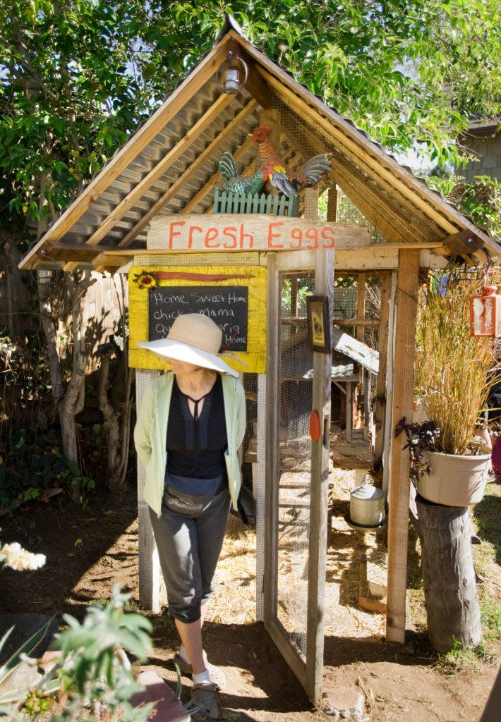 Visitors check out a chicken coop in Laguna Beach, California, in 2015.