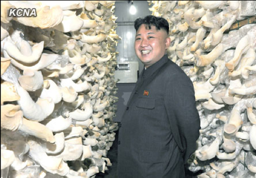 Kim Jong-Un Wants to Create the World's Most Powerful Mushroom Kingdom