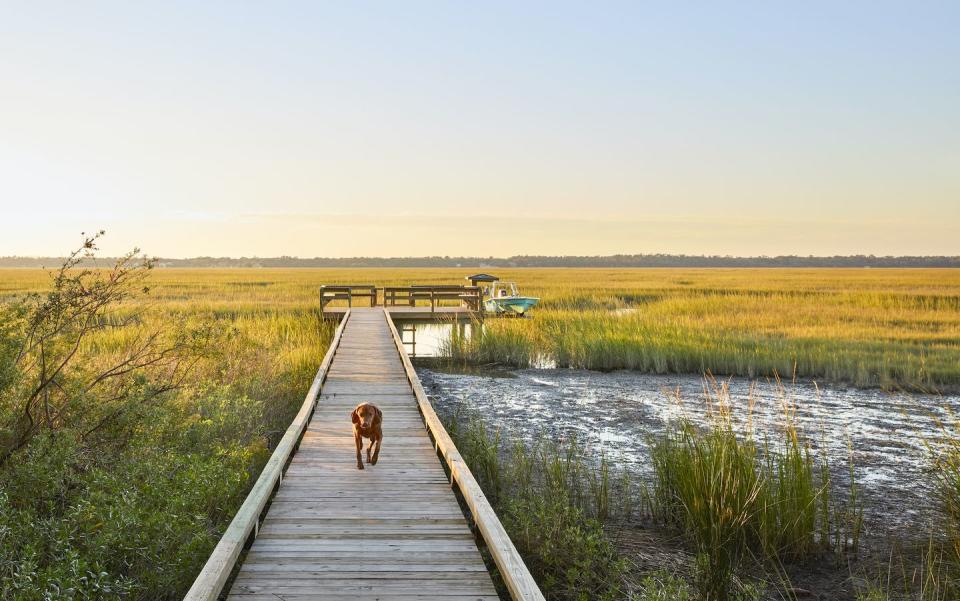 ellen kavanaugh sea island backyard