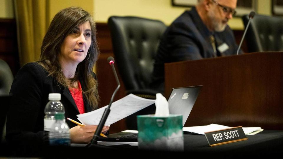 Rep. Heather Scott, R-Blanchard, is one of the legislators claiming that critical race theory is a problem in Idaho education.