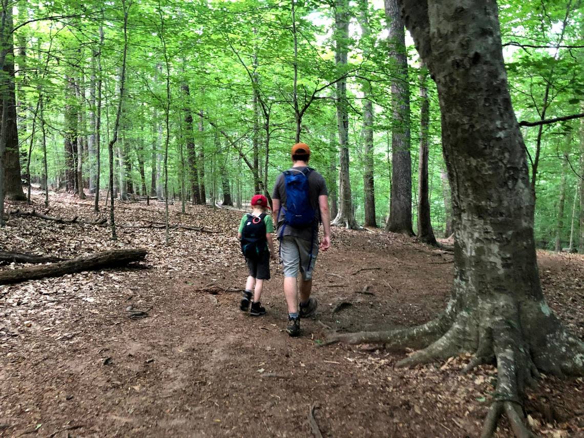 Hiking in Umstead State Park.