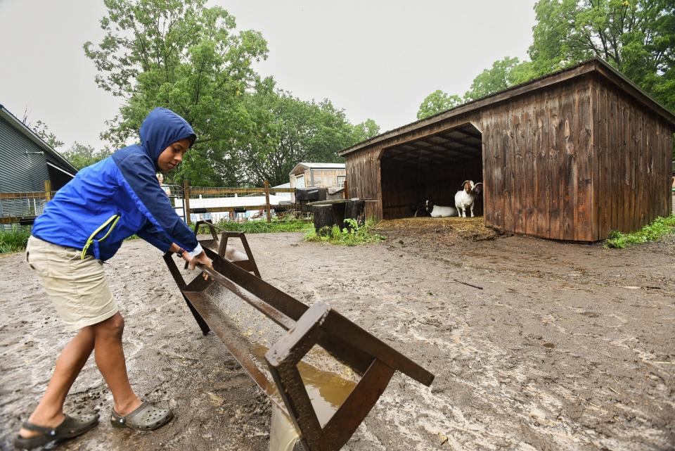 Lewis Dowker, 11, dumps rainwater from a feed trough Tuesday, Aug. 15, 2023, before feeding goats at his family's small hobby farm in Delta Township. They have 17 goats, 35 chickens, three ducks, 12 rabbits and a turkey.