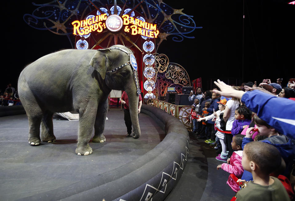 <p>Guests reach for an elephant during a pre-show performance of the Ringling Bros. and Barnum & Bailey Circus, March 19, 2015 in Washington. (AP Photo/Alex Brandon) </p>