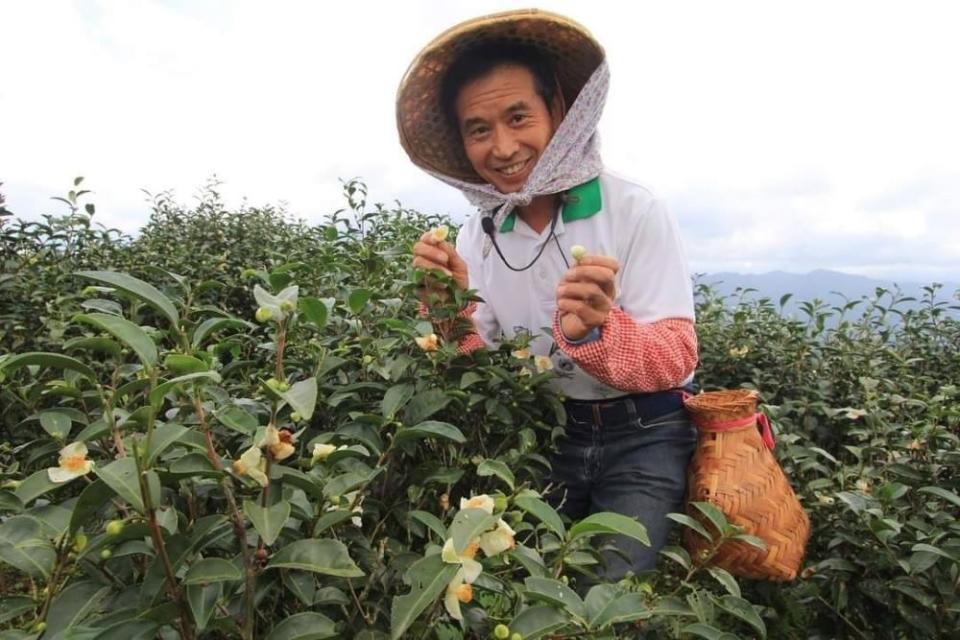 《圖說》新北有機好茶頒獎典禮暨新北有機環境永續市集，現場除了展售會外，也邀請綠光農園陳陸合分享有機栽種心得。〈農業局提供〉