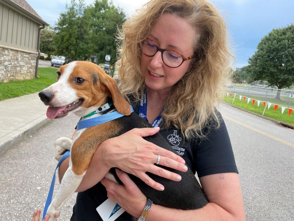 Amy Buttry, Young-Williams Animal Center's Director of Pets for Life Education carries one of the 20 beagles being placed at Young-Williams Animal Center on Tuesday, August 9, 2022. The beagle is among a group 4000 beagles that were recently removed from a mass-breeding facility in Virginia. 