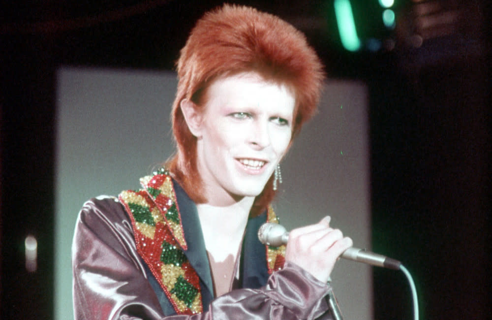 Museum bosses have asked for help locating David Bowie's missing dress credit:Bang Showbiz