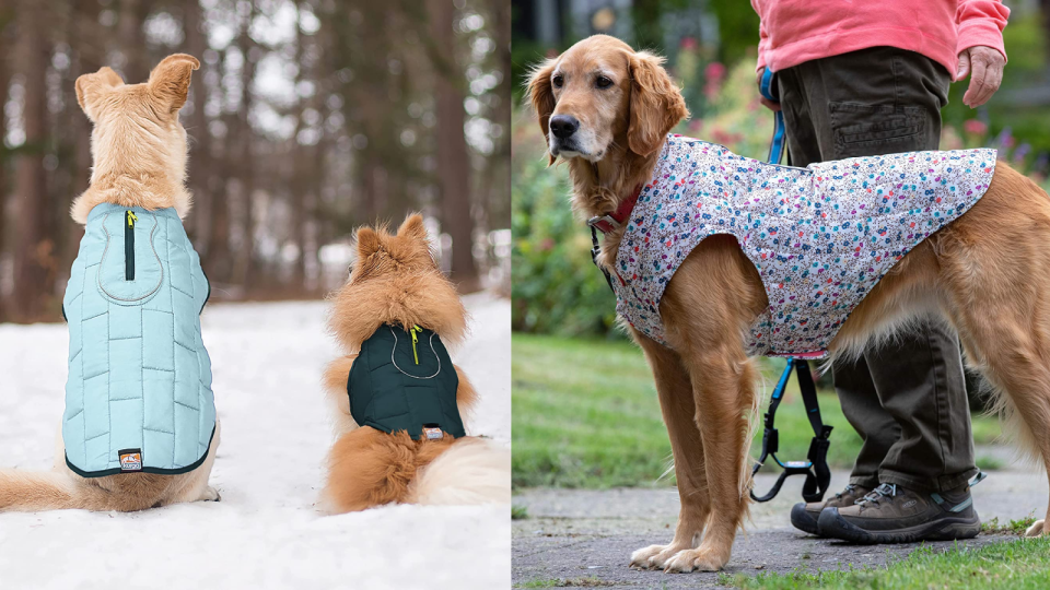 Kurgo Loft Jacket Dog Coat.