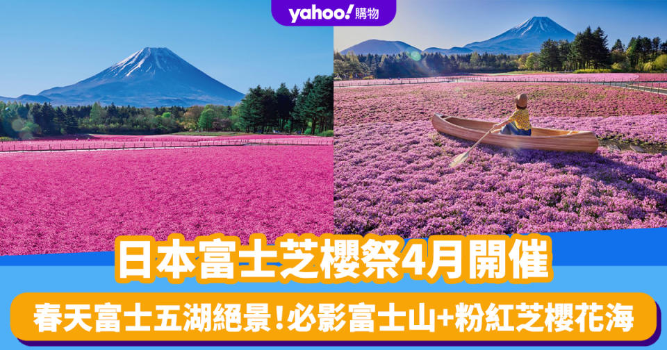 日本旅遊｜富士芝櫻祭4月開催！春天富士五湖絕景 必影富士山+粉紅芝櫻花海 附購票連結