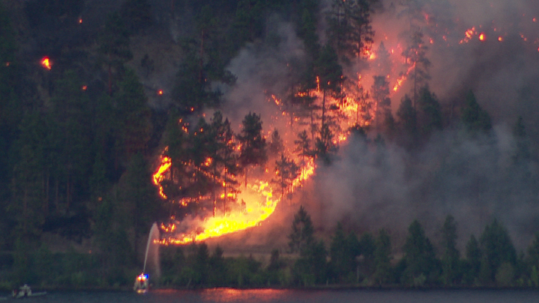Flame and fortune: B.C. man offers $10K prize to smoke out firebugs
