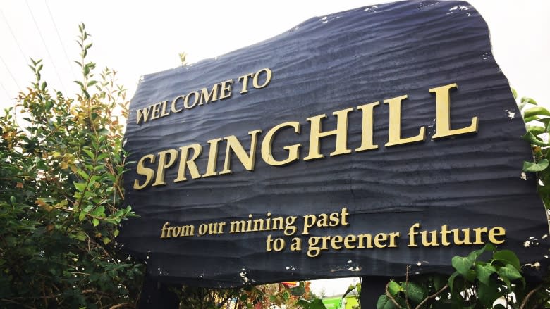 Fundraising efforts go up in smoke after arson at Springhill, N.S., park