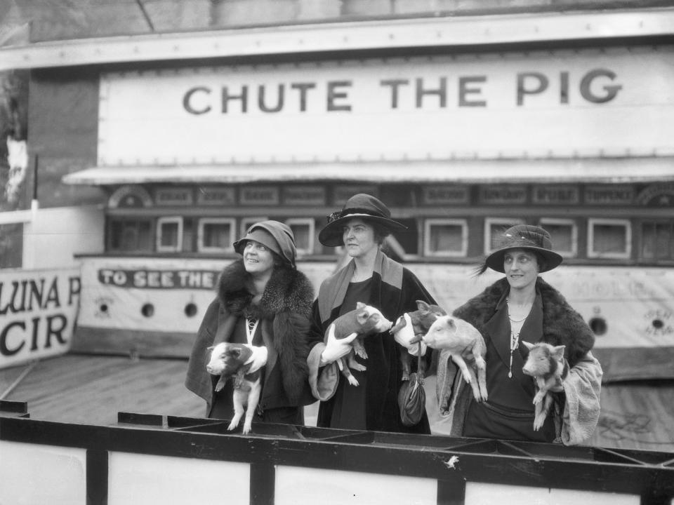 coney island women with pigs