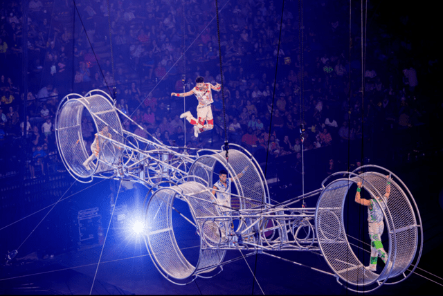 <p>Ringling Bros.</p> El circo Ringling Bros: The Greatest Show on Earth llegÃ³ a la ciudad de Nueva York