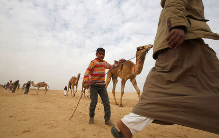 Hashem, an 8-year-old jockey, looks on during the opening of the International Camel Racing festival at the Sarabium desert in Ismailia, Egypt, March 21, 2017. Picture taken March 21, 2017. REUTERS/Amr Abdallah Dalsh