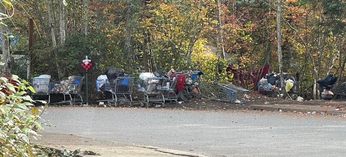 Shopping carts and tents are seen at the entrance to the homeless encampment behind Walmart on Oct. 8, 2023, in Bellingham, Wash. The encampment is located in a large, heavily wooded area. Shelli Tench/Courtesy to The Bellingham Herald