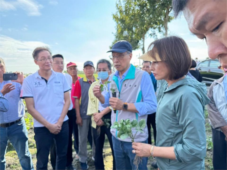 雨下不停！　美濃紅豆產量大減　邱議瑩.陳駿季為農民爭補助