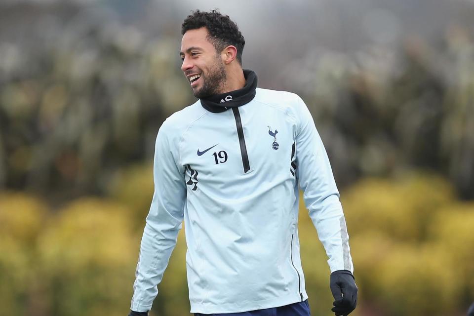 Cheers, boss: Tottenham star Mousa Dembele was called a ‘genius’ by manager Mauricio Pochettino