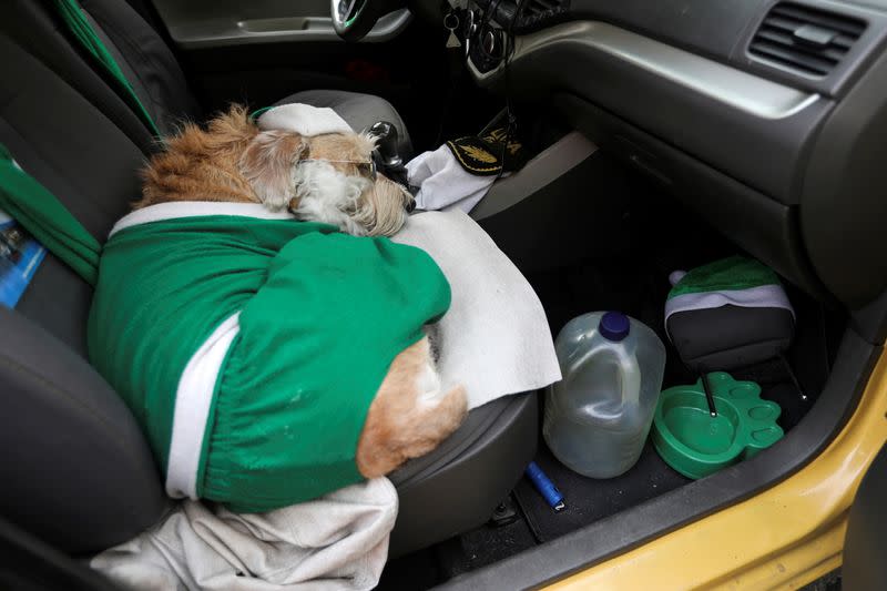 Foto del miércoles de Coronel disfrazado de Papá Noel durmiendo en un taxi en Bogota