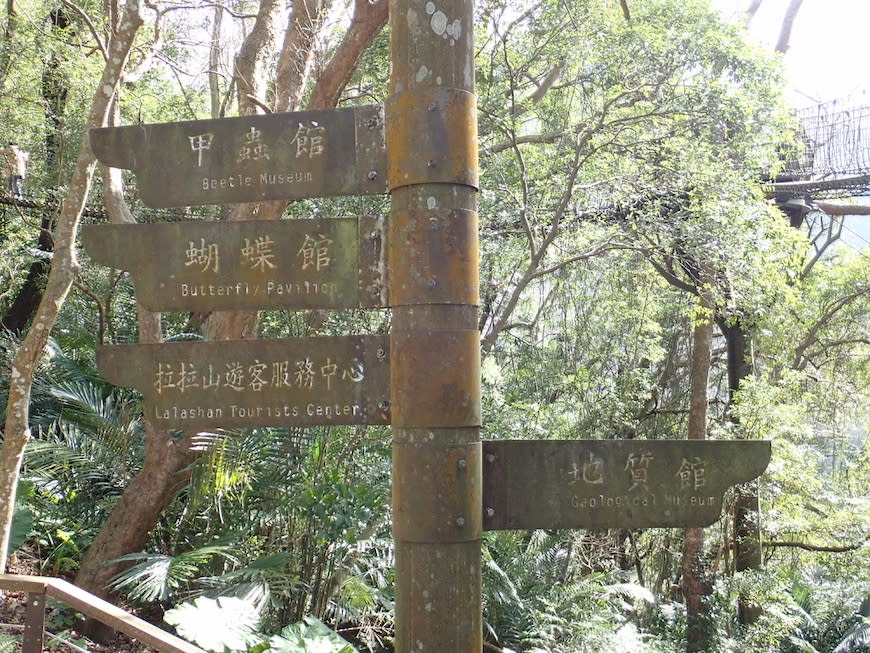 桃園巴陵古道生態園區