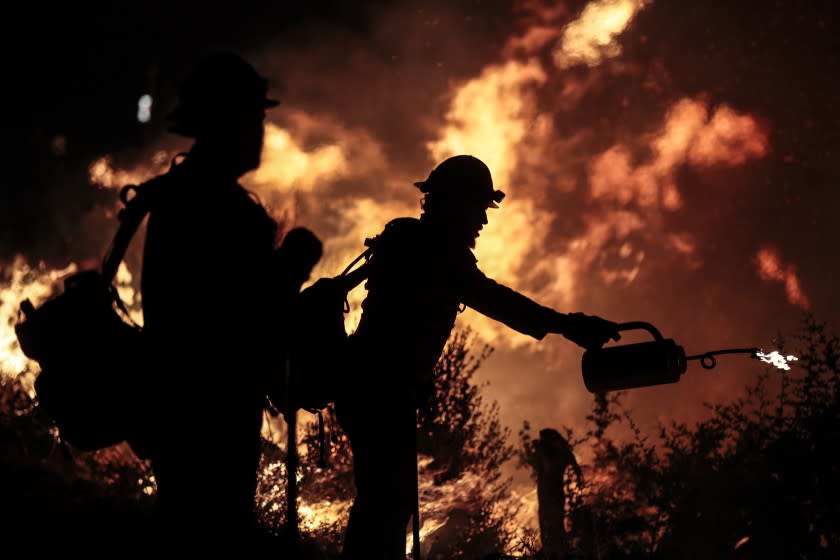 Angeles National Forest, CA, Tuesday, September 22, 2020 - Blue Ridge Hot Shots crew members from Arizona join forces with California firefighters from Northern and Southern California on a backfire operation North of Mt. Wilson on Angeles Crest Highway. Firefighters continue to battle the Bobcat Fire as it continues to burn. (Robert Gauthier/ Los Angeles Times)