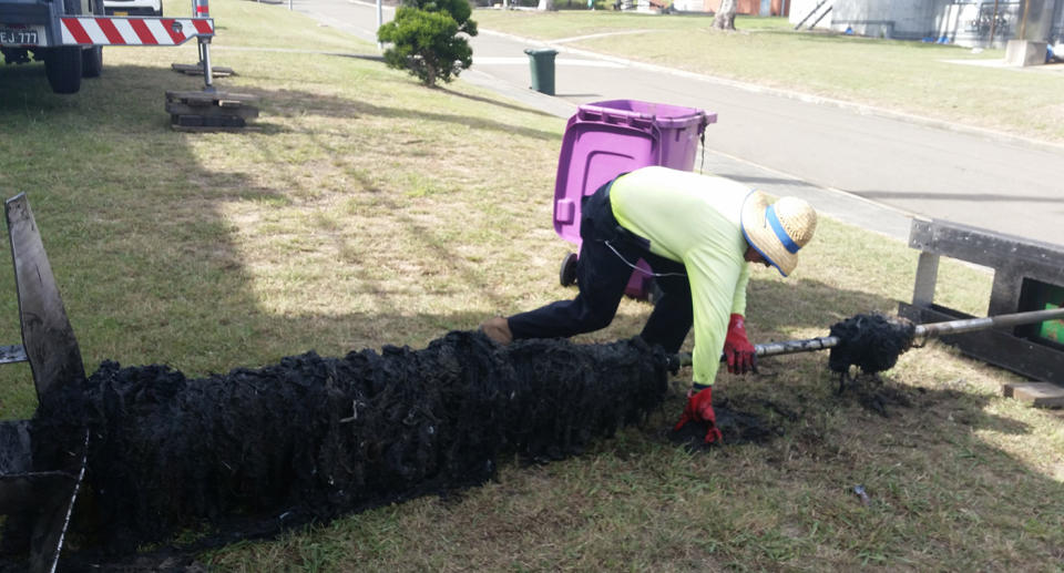 A Sydney water staff member unblocks a pipe.