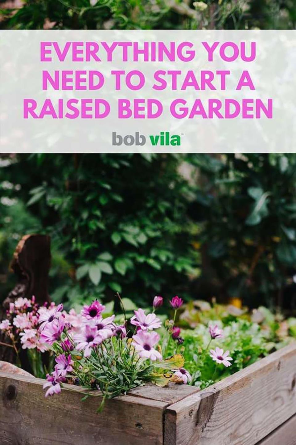 Everything You Need to Start a Raised Bed Garden Make your garden bloom