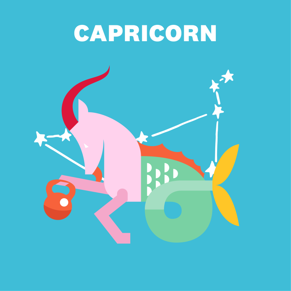 CAPRICORN (DECEMBER 22–JANUARY 19)