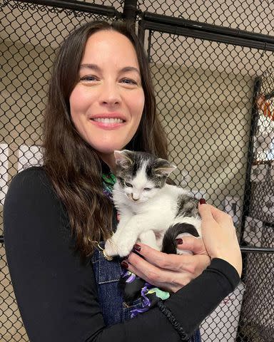 <p>Humane Society of Ventura County</p> Liv Tyler adopts two kittens from Humane Society of Ventura County