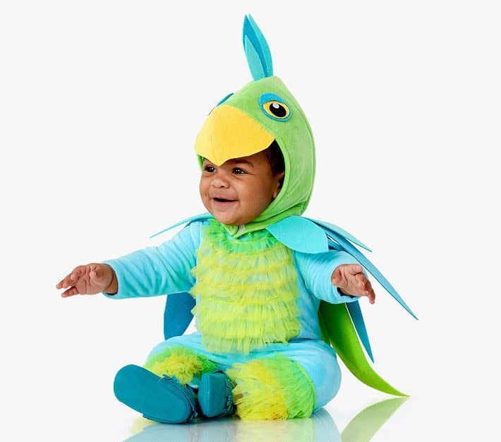 <p><a href="https://go.redirectingat.com?id=74968X1596630&url=https%3A%2F%2Fwww.potterybarnkids.com%2Fproducts%2Fbaby-bright-parrot-costume%2F%3Fpkey%3Dcbaby-halloween-costumes&sref=https%3A%2F%2F" rel="nofollow noopener" target="_blank" data-ylk="slk:Shop Now;elm:context_link;itc:0;sec:content-canvas" class="link ">Shop Now</a></p><p>Parrot Costume</p><p>potterybarnkids.com</p><p>$69.00</p>