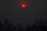 The Wider Image: Indonesia's firefighters on frontline of Borneo's forest blazes