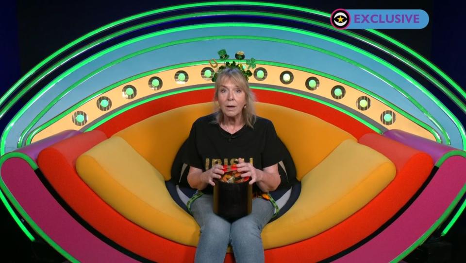 fern britton in the celebrity big brother diary room