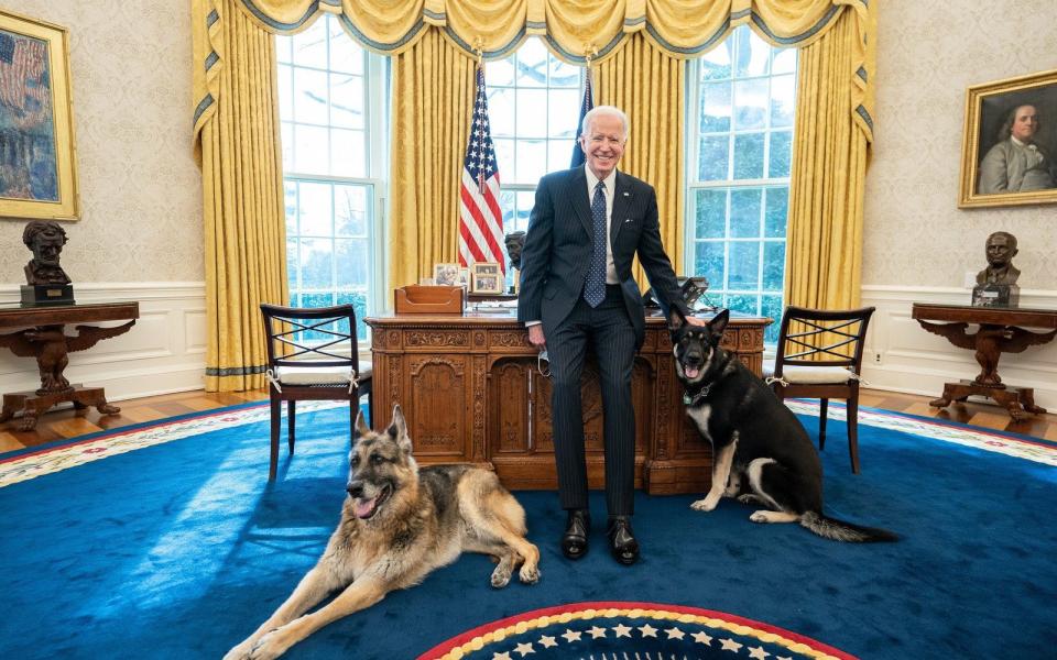 President Joe Biden poses with the Biden family dogs Champ and Major - Adam Schultz