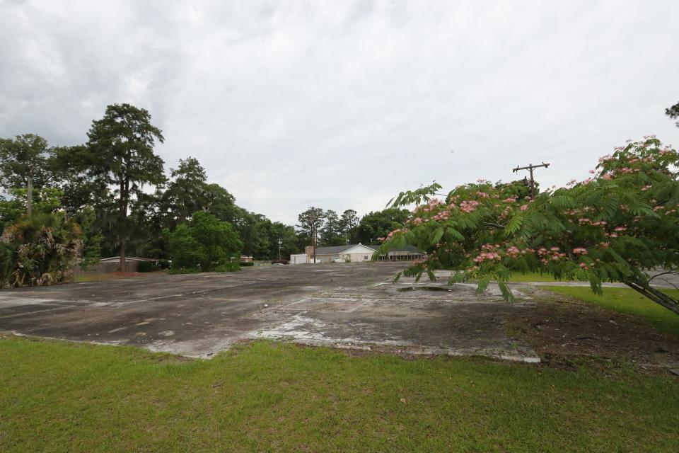 A Mimosa tree hangs over the corner of the filled in concrete where Woody's Skate Park once was on Windsor Road.