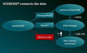 CLINUVEL’s DNA Repair Program aims to confirm that intervention with SCENESSE® causes elimination of DNA damage (photoproducts) and regeneration of DNA. The diagram shows that SCENESSE® has been proven to protect skin from light (photoprotection) and shown to repair DNA damage. Since photoprotection and regeneration are necessary to reduce the risk of skin cancer, the role of SCENESSE® is obvious. In the diagram, “P” stands for probability.