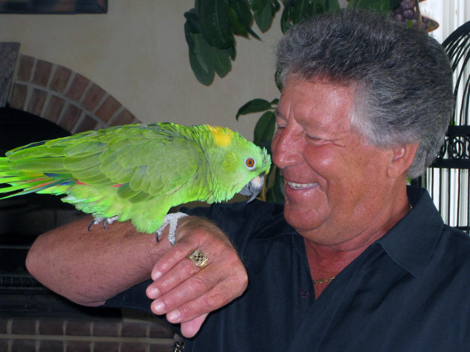 In this July 23, 2008, photo provided by Amy Hollowbush, Mario Andretti is shown with his parrot Gonzo at his home in Nazareth, Pa. The nights are the loneliest for Andretti, who finds himself alone in his sprawling Pennsylvania mansion with no one to talk to but Gonzo, his 34-year-old yellow-naped amazon parrot. One of the greatest racers of all-time is struggling, not unlike so many regular people around the world during this pandemic that has devastated families and claimed more than 3 million lives globally. (Amy Hollowbush via AP)
