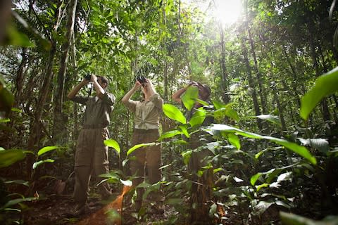 The BBC are coming to the region to film for Planet Earth III - Credit: Cristalino Jungle Lodge/Samuel Melim