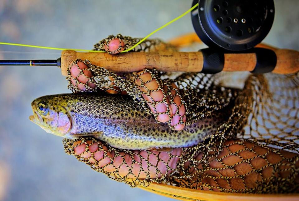Enjoy fly-fishing in streams, bass fishing on area lakes, or take the kids fishing and catch a trophy trout.