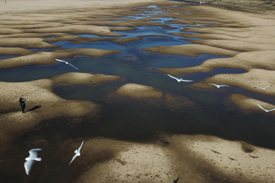 FILE - Birds fly over a man taking photos of the exposed riverbed of the Old Parana River, a tributary of the Parana River, during a drought in Rosario, Argentina, on July 29, 2021. Climate change isn’t causing the multi-year drought that is devastating parts of Argentina, Uruguay, Brazil and Bolivia, but warming is worsening some of the dry spell’s impacts, a new study says. (AP Photo/Victor Caivano, File)