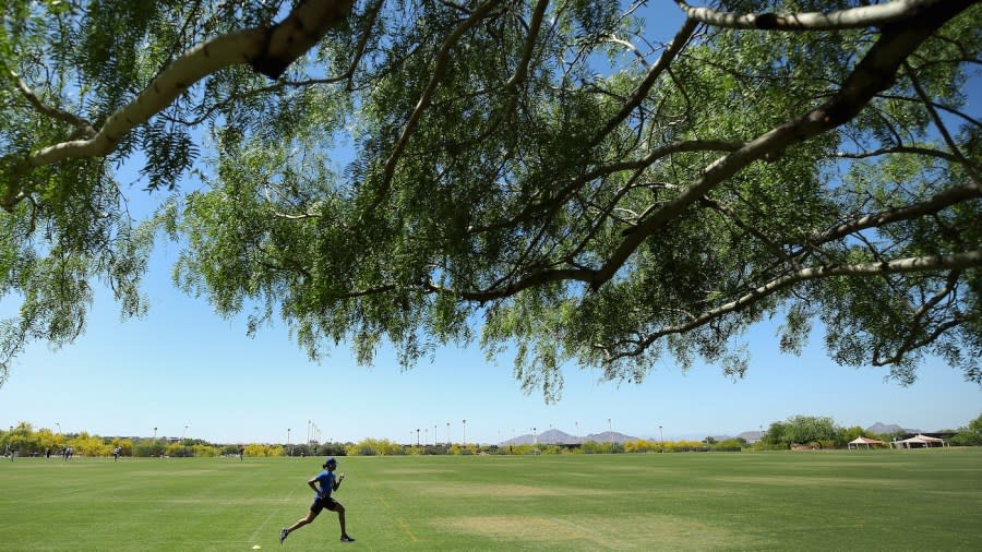 <em>United States Olympic hurdler Aries Merritt trains at the Scottsdale Sports Complex on May 18, 2020, in Scottsdale, Arizona.</em> (Photo by Christian Petersen/Getty Images)