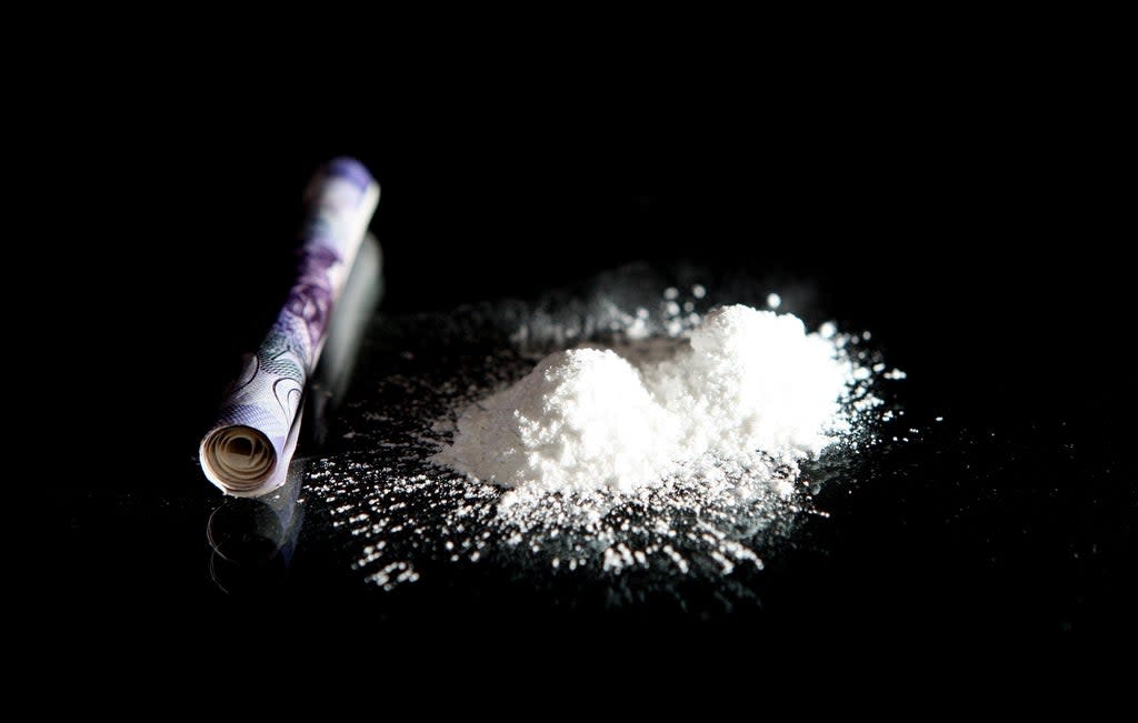 A former Government adviser has said drug laws should be changed (PA) (PA Archive)