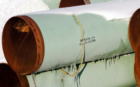FILE PHOTO: A depot used to store pipes for Transcanada Corp's planned Keystone XL oil pipeline is seen in Gascoyne, North Dakota, U.S. on November 14, 2014. REUTERS/Andrew Cullen/File Photo