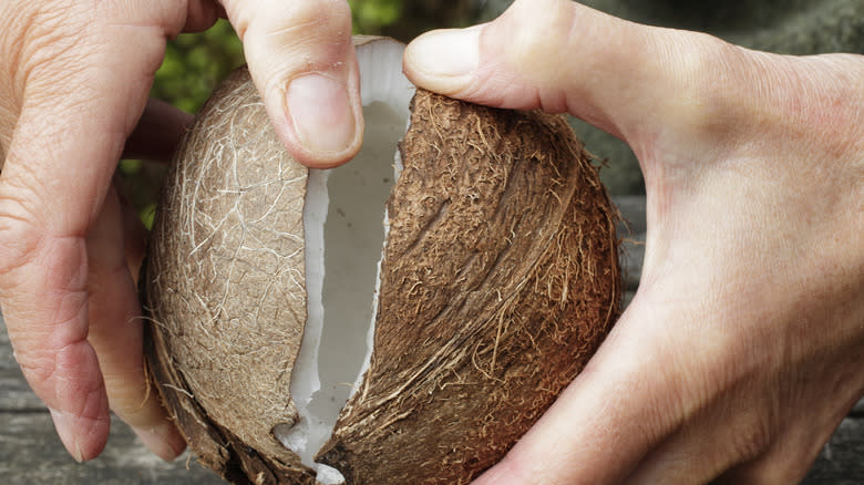 Cracking open a coconut